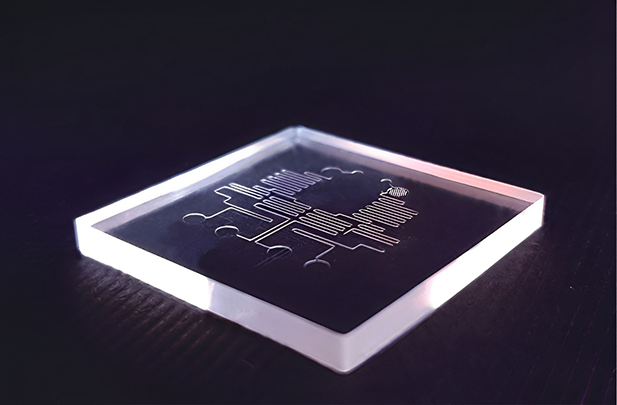 Microfluidic Biochip