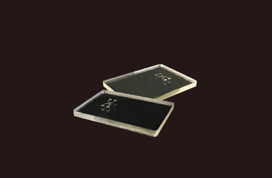 PDMS Microfluidic Chip Microchannel