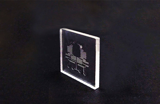 Microfluidic chip