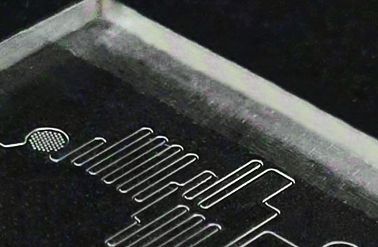 Microfluidic